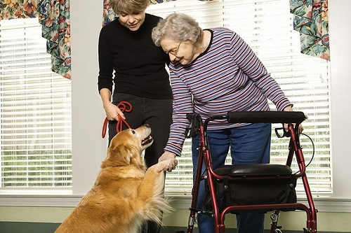 Gentle Care House