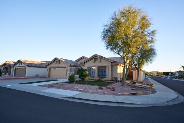 A suburban house with desert landscaping and a tree at sunset.