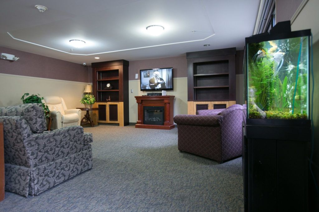 A cozy living room with a television, fireplace, sofas, and bookshelves.