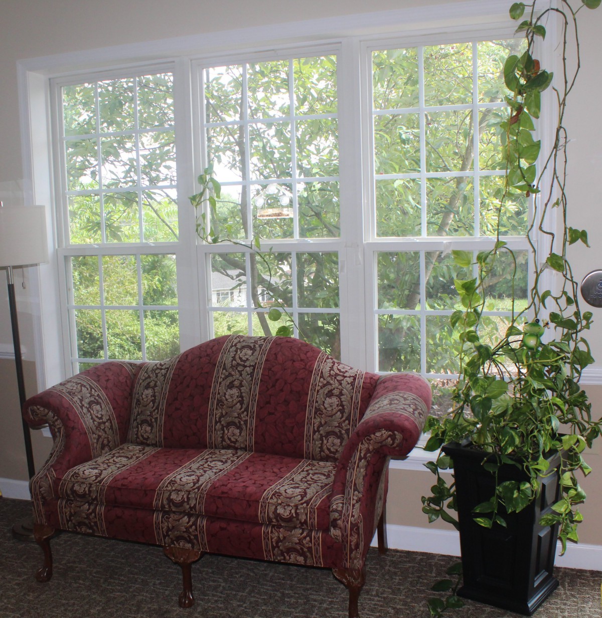 A cozy living room with a patterned sofa, large windows, and lush greenery.