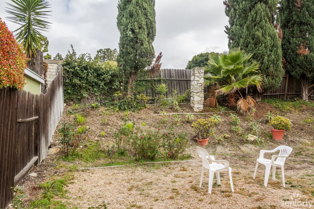 A backyard garden with plastic chairs, trees, and a wooden fence.