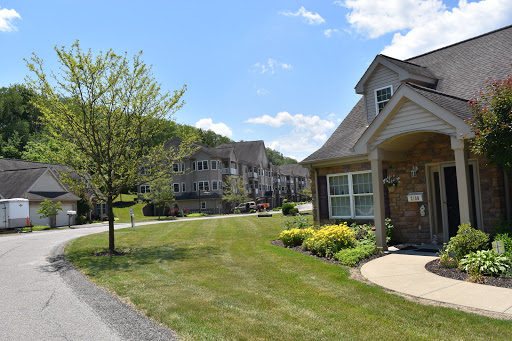 A serene suburban neighborhood with well-maintained houses and lush greenery under a clear blue sky.
