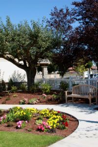 A beautiful garden with a large tree, colorful flowers, and a bench along a paved pathway.