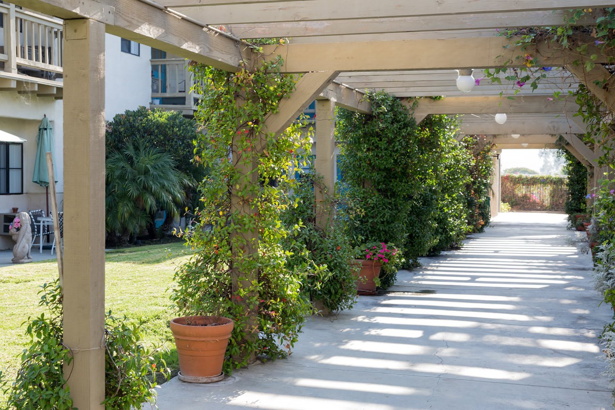 Ivy Park at San Juan Capistrano