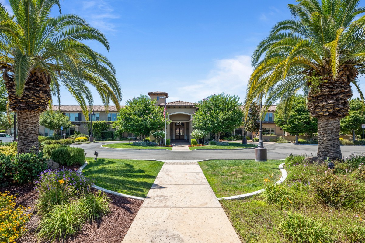 A landscaped pathway leads to a building surrounded by palm trees under a clear blue sky.