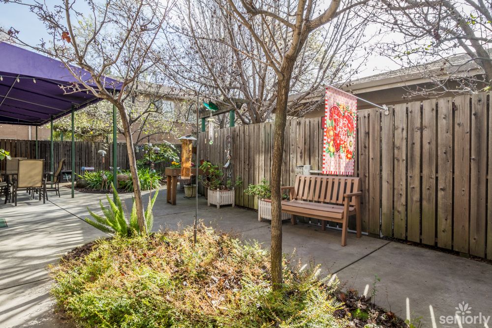 A peaceful garden area with a wooden bench and surrounding greenery.
