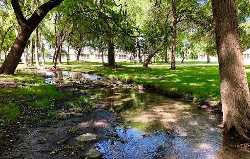 Senior Buddies of San Antonio,  TX