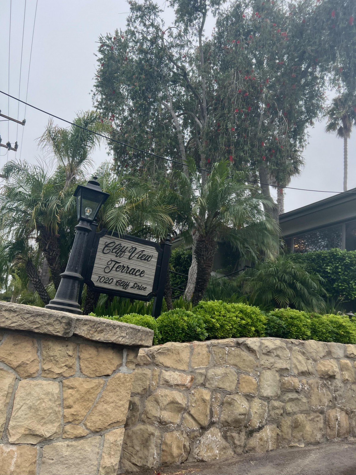 A street lamp and sign surrounded by lush greenery and a stone wall.