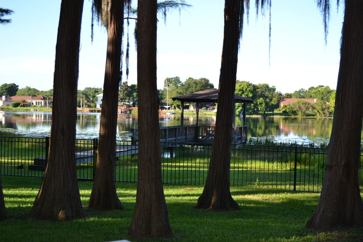 A scenic view of a lake with trees, a pier, and a fence in the foreground.
