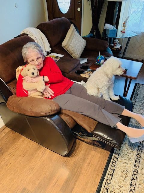 An elderly person relaxing on a couch with two dogs in a cozy living room.