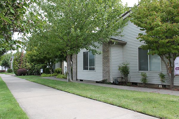 A suburban house with a driveway lined by trees.
