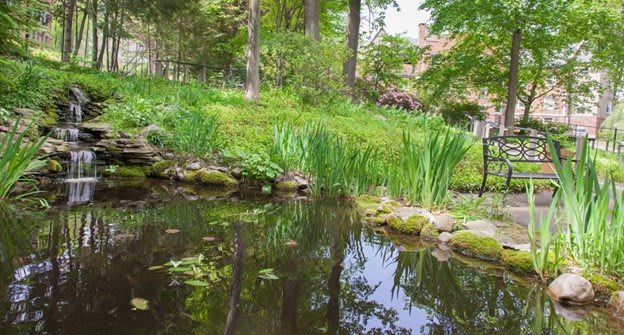 A serene pond surrounded by lush greenery and trees, with reflections visible on the water's surface.