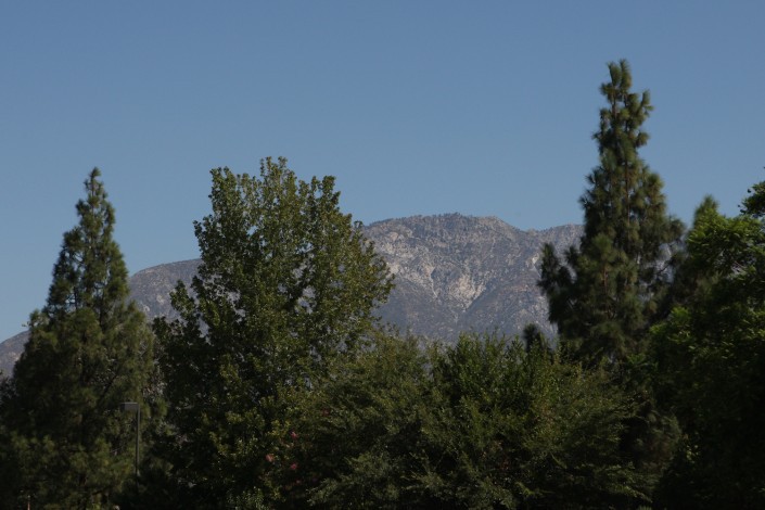 A scenic view of a mountain partially obscured by lush green trees under a clear blue sky.