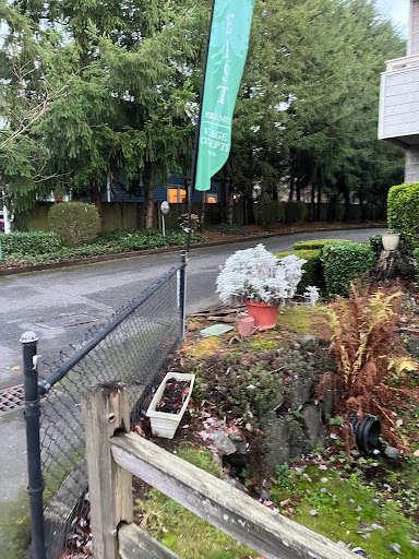 A view of a quiet street with a well-maintained garden and fence.