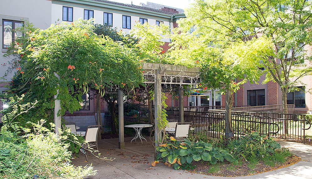 A pergola-covered garden seating area surrounded by lush greenery.