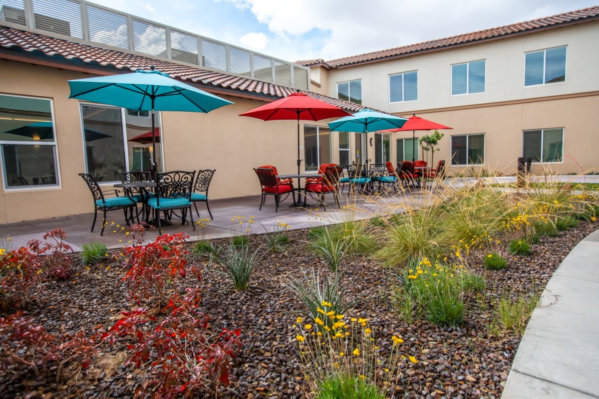A modern patio with colorful umbrellas and outdoor seating surrounded by a landscaped garden.