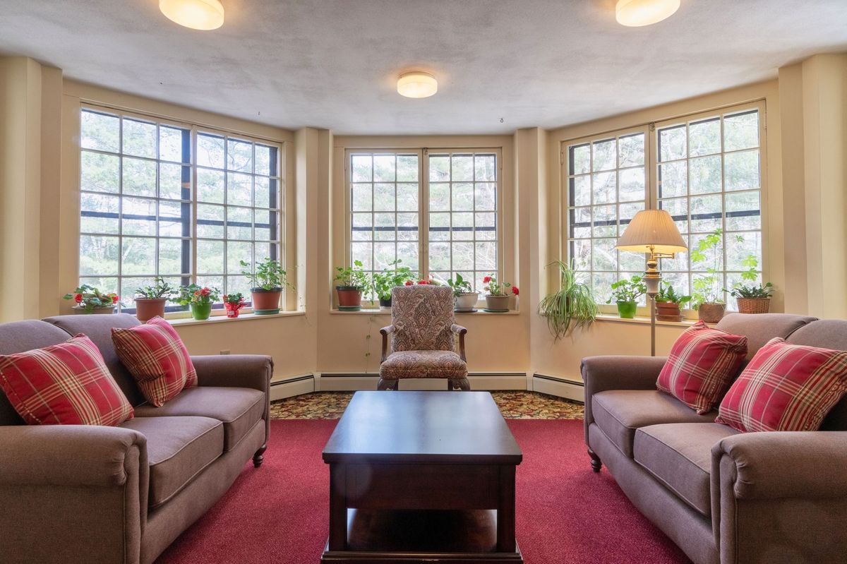 A cozy living room with large windows, sofas, a coffee table, and potted plants.