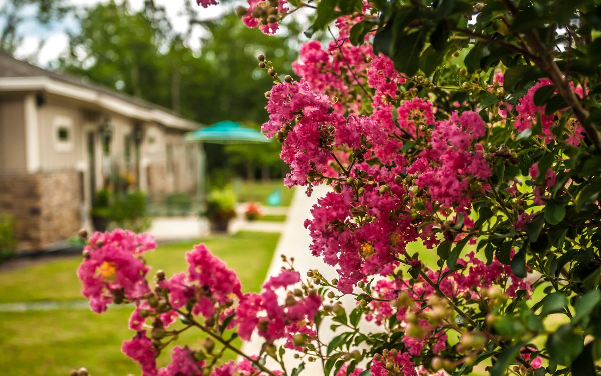 Fellowship Home At Meriwether