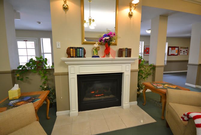 A cozy living room with a fireplace, adorned with plants and vibrant flowers.