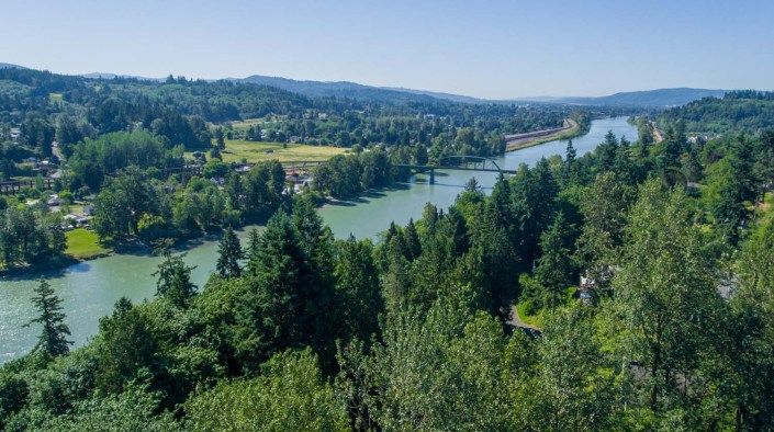 A scenic view of a river winding through a lush, green forest landscape.