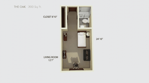 A floor plan of a compact studio apartment, including a living room, closet, and bathroom.