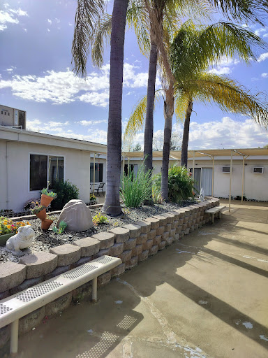 A serene outdoor space featuring palm trees and a landscaped garden.