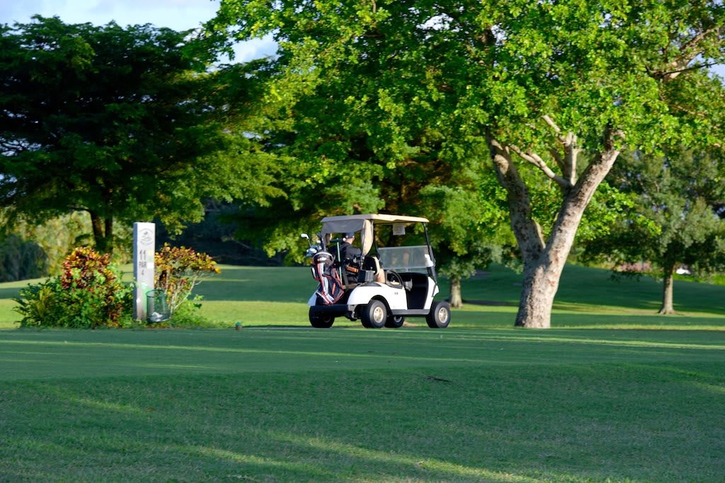 A golf cart parked on a lush green golf course surrounded by trees.