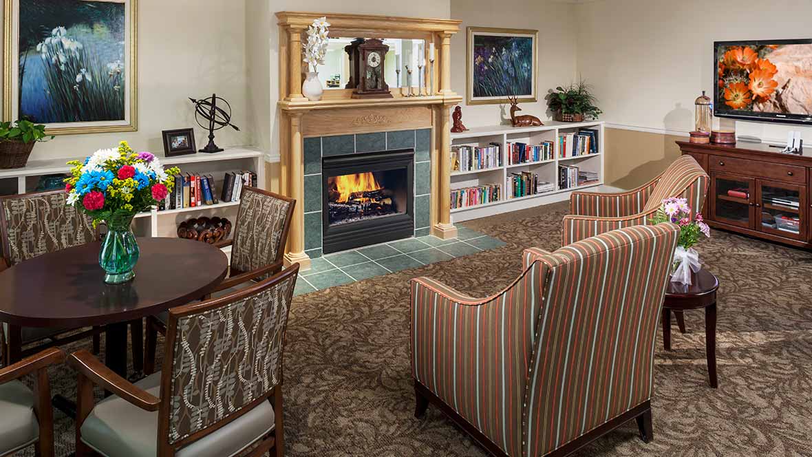 A cozy living room featuring a fireplace, surrounded by bookshelves and armchairs.