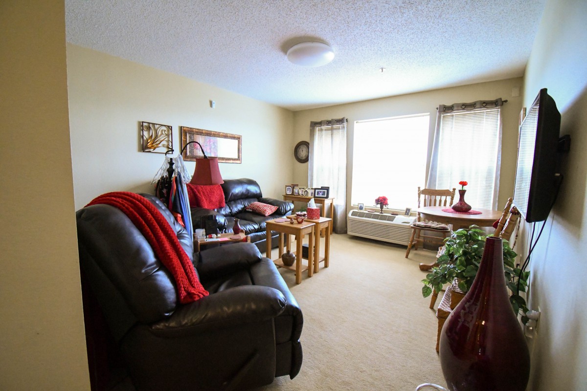 A cozy living room with sofas, chairs, and a table, decorated with indoor plants and receiving natural light from large windows.