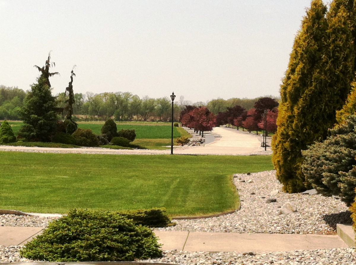 A scenic view of a landscaped park with lush greenery and a winding pathway.