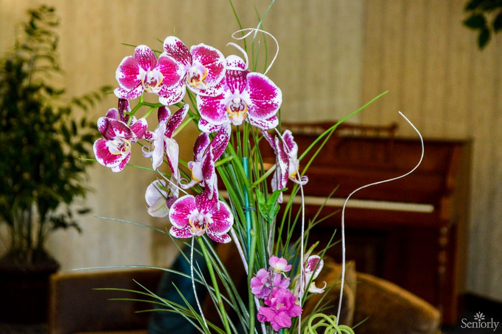 A vibrant display of pink orchids arranged in an indoor setting.
