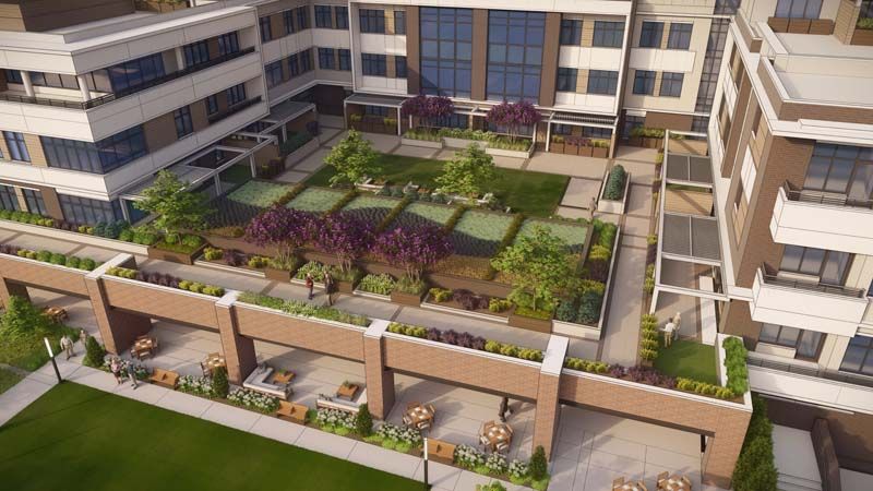 A well-landscaped rooftop garden with various plants and seating areas in an urban building setting.