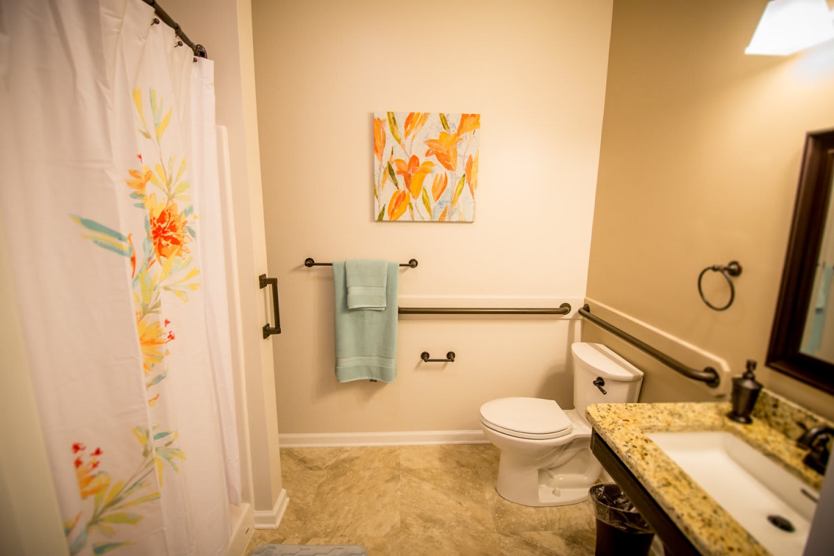 A neatly organized bathroom with a shower curtain, toilet, grab bars, and artwork on the wall.