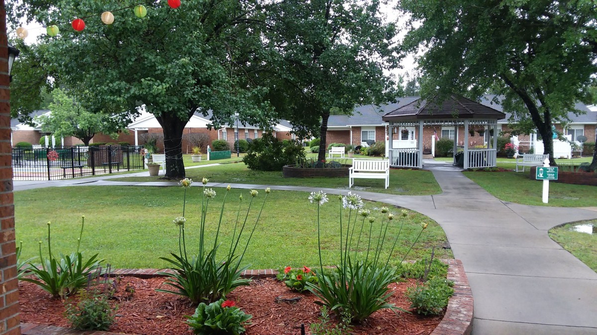A peaceful garden with lush greenery, benches, and a winding pathway.