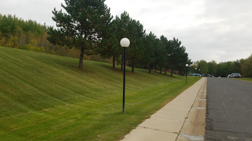 A serene park pathway lined with trees and a lamp post.
