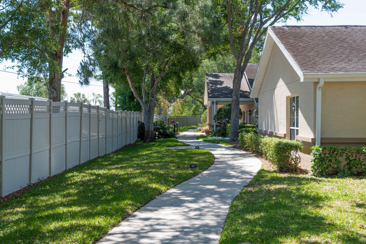 A serene residential area with a winding sidewalk lined by trees and houses.