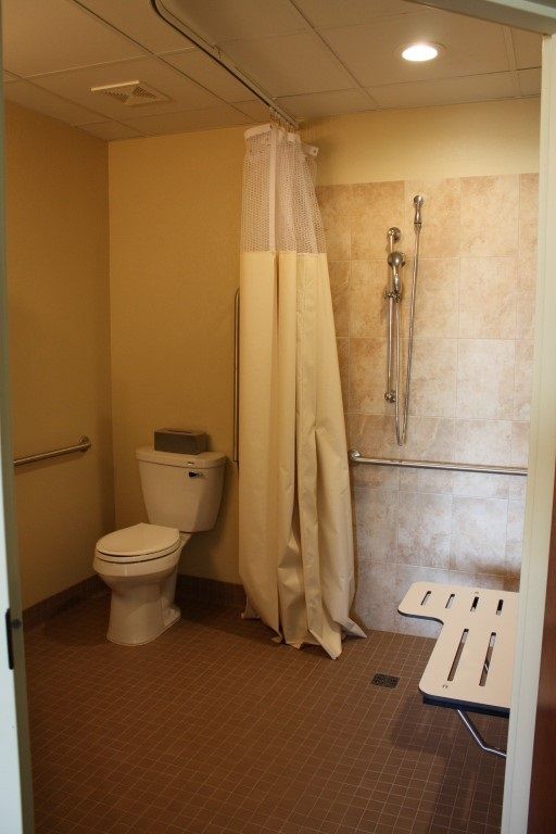 An accessible bathroom with a toilet, shower, and grab bar.