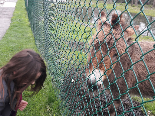 A child leans down to interact with a horse through a fence in a serene outdoor setting.