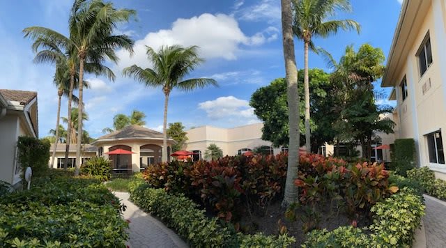 A tranquil garden setting with palm trees and a building under a clear blue sky.