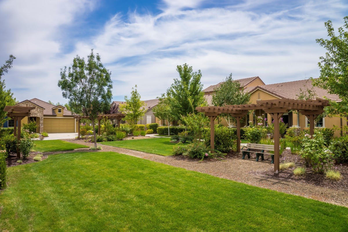 A well-maintained garden with a lush green lawn, trees, and a wooden pergola along a pathway on a sunny day.