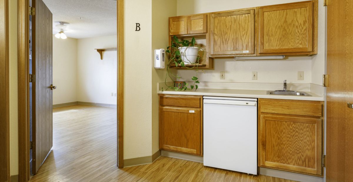 A kitchen area featuring wooden cabinets, a white dishwasher, and a potted plant on the countertop.