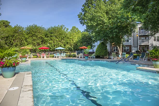 An inviting outdoor swimming pool surrounded by trees and lounge chairs with umbrellas.