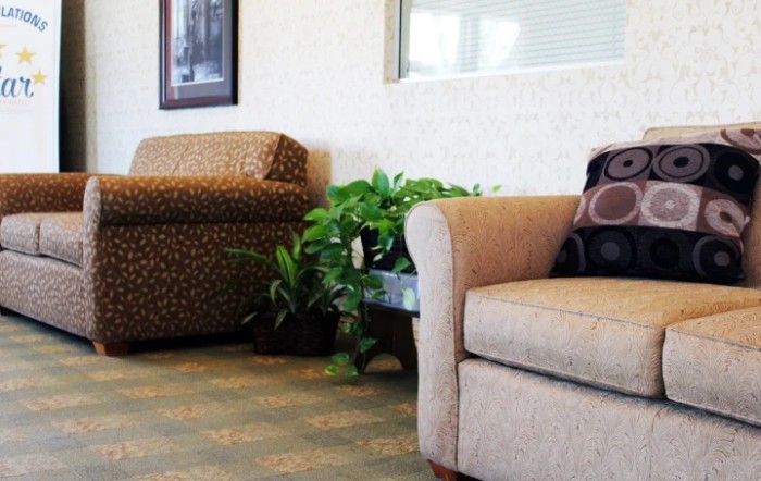 A cozy waiting room with couches, a potted plant, and carpeted flooring.