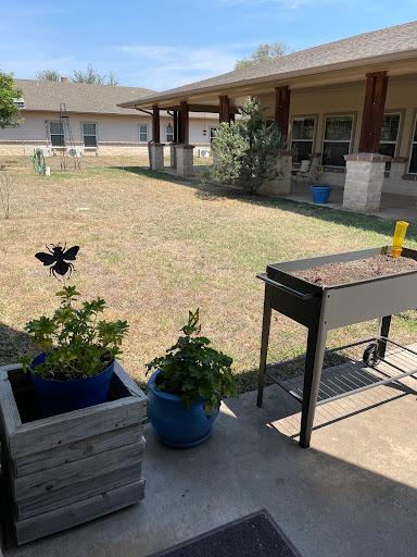 A sunny outdoor space featuring a grill, colorful plants, and a butterfly decoration.