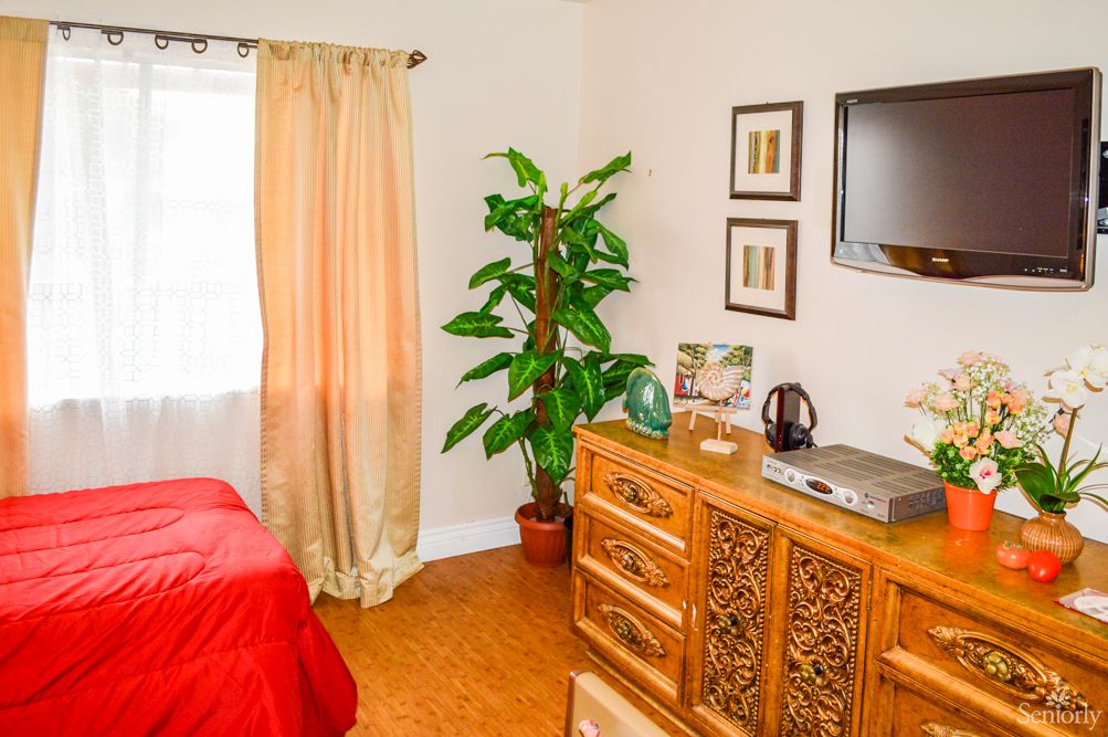 A cozy bedroom interior featuring a dresser, potted plant, and wall-mounted television.