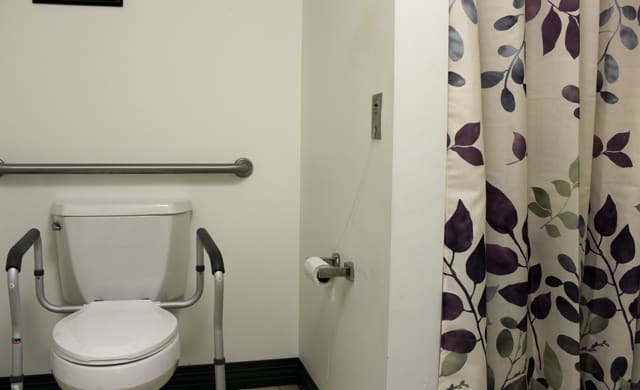 A bathroom featuring a toilet with a handrail, shower curtain, and toilet paper holder.
