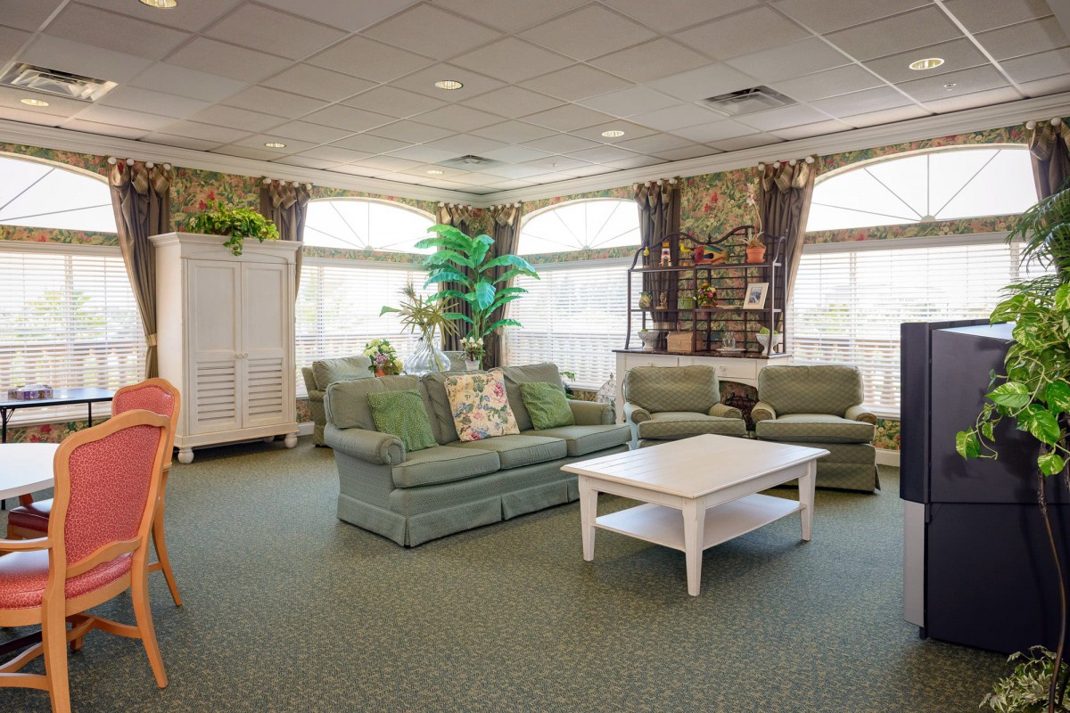 A cozy living room with green sofas, a white coffee table, and large windows letting in natural light.