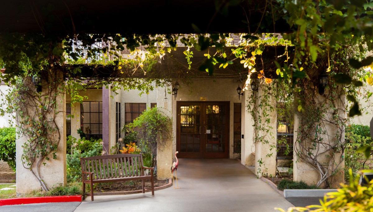 A charming entrance with a bench surrounded by lush greenery and ivy-covered walls.