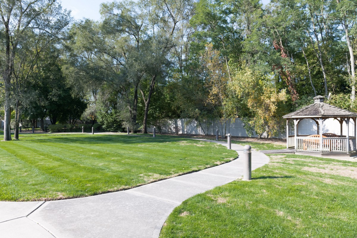 A peaceful park with a winding pathway surrounded by lush greenery and trees.