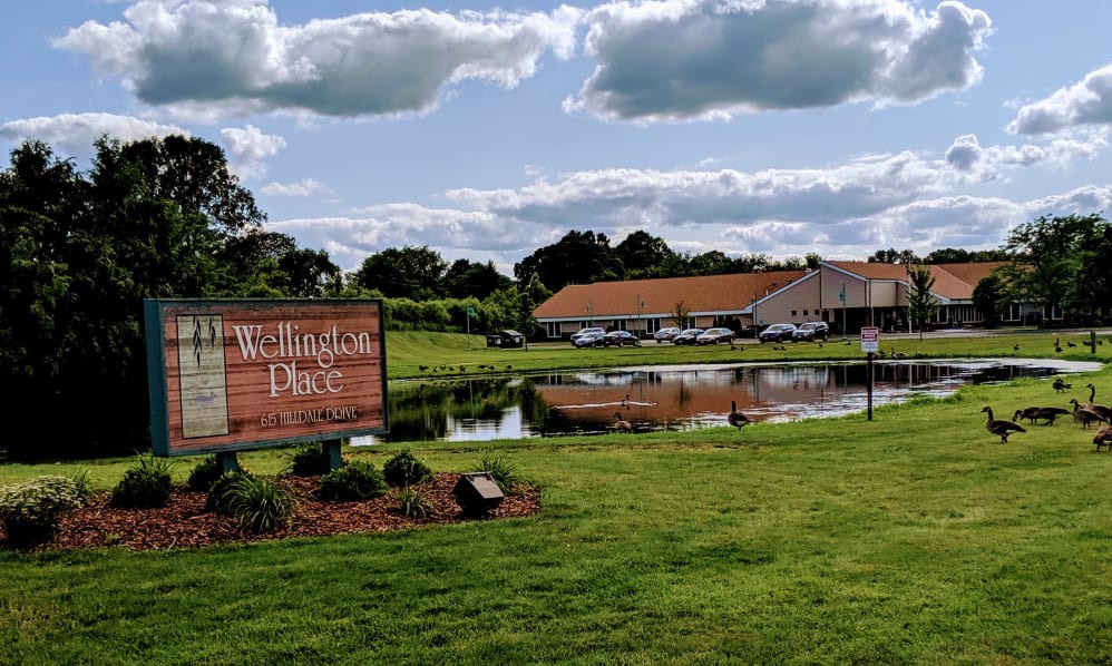 A scenic view of a park with a pond, sign, and buildings in the background under a cloudy sky.